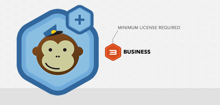 Item cover for download Gravity Forms MailChimp Add-On