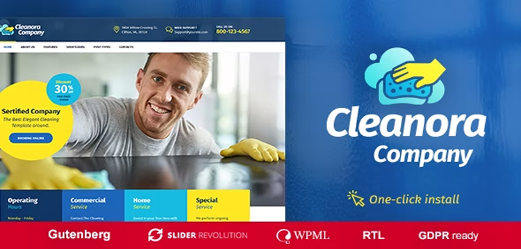 Item cover for download Cleanora - Cleaning Services WordPress Theme