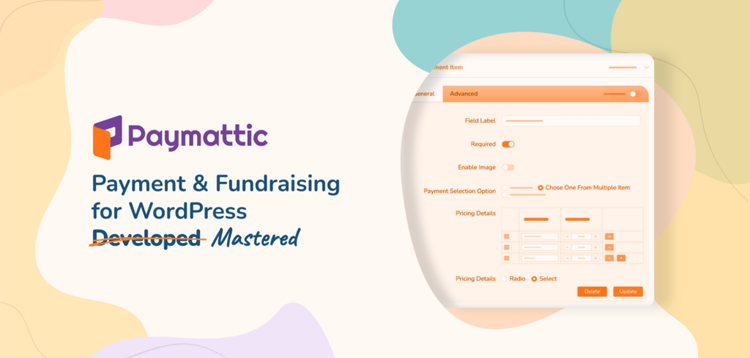 Item cover for download Paymattic Pro