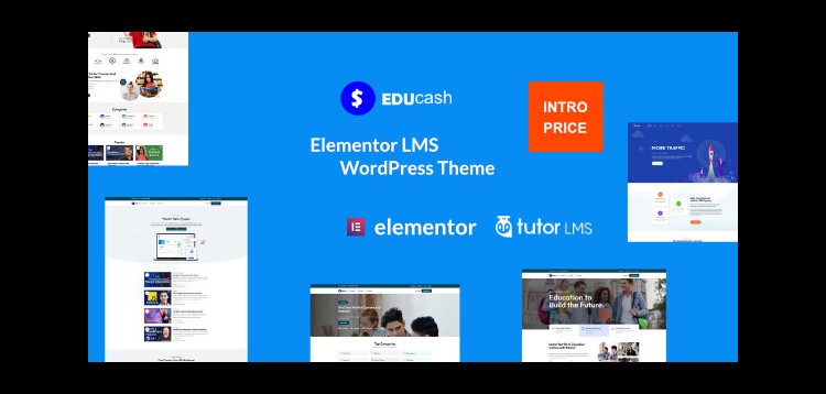 Item cover for download Educash WordPress LMS theme