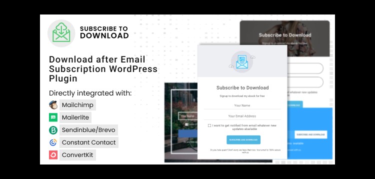 Item cover for download Subscribe to Download - Download after Email Subscription WordPress Plugin