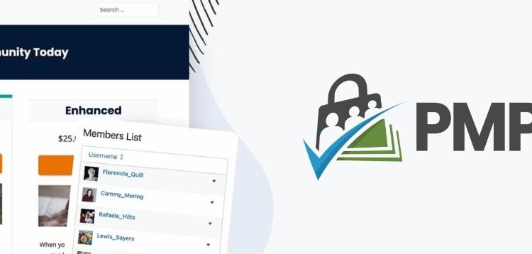 Item cover for download Paid Memberships Pro – State Dropdowns Add On