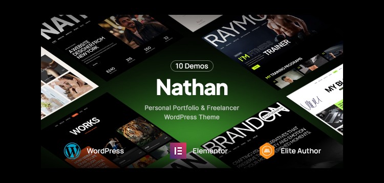 Item cover for download Nathan - Personal Resume CV Portfolio WordPress Theme