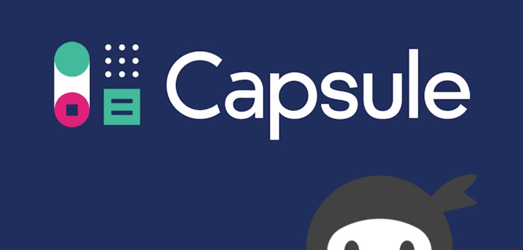 Item cover for download Ninja Forms - Capsule CRM
