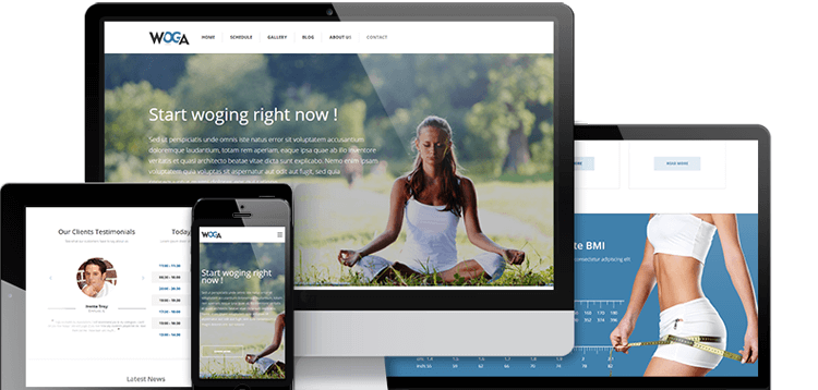 Item cover for download ThemeIsle Woga WordPress Theme