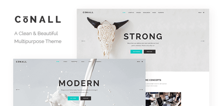 Item cover for download CONALL – A CLEAN  BEAUTIFUL MULTIPURPOSE THEME