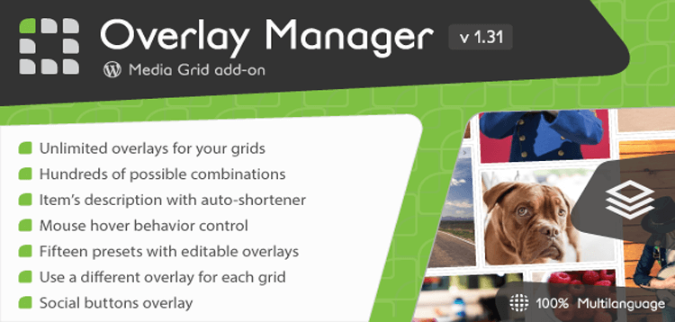 Item cover for download Global Gallery - Overlay Manager add-on 